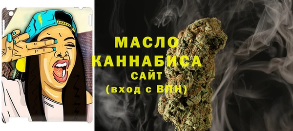 молекула духа Ростов